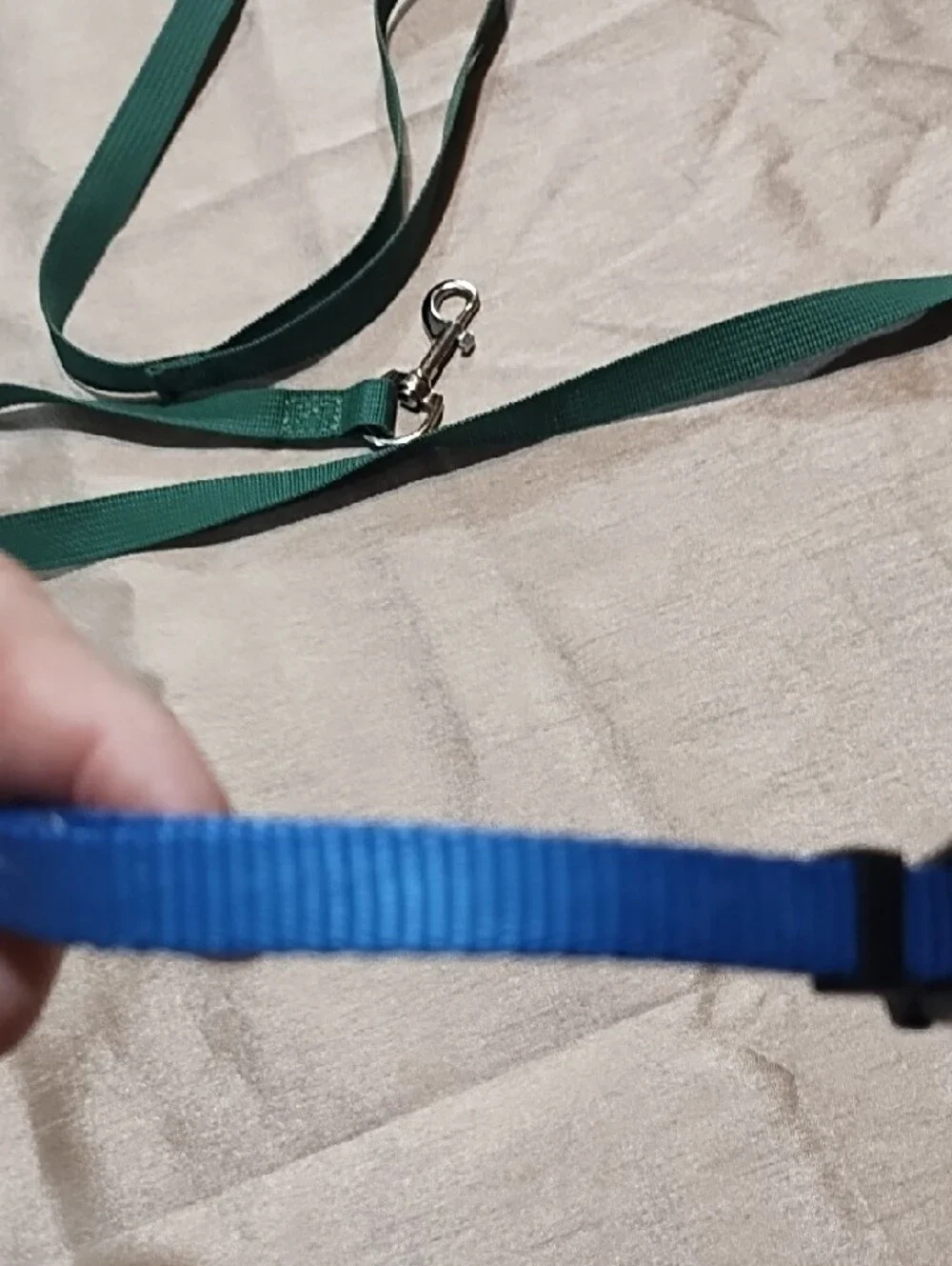 Top Paw Green Leash with Blue Collar Small Dog Never Used.